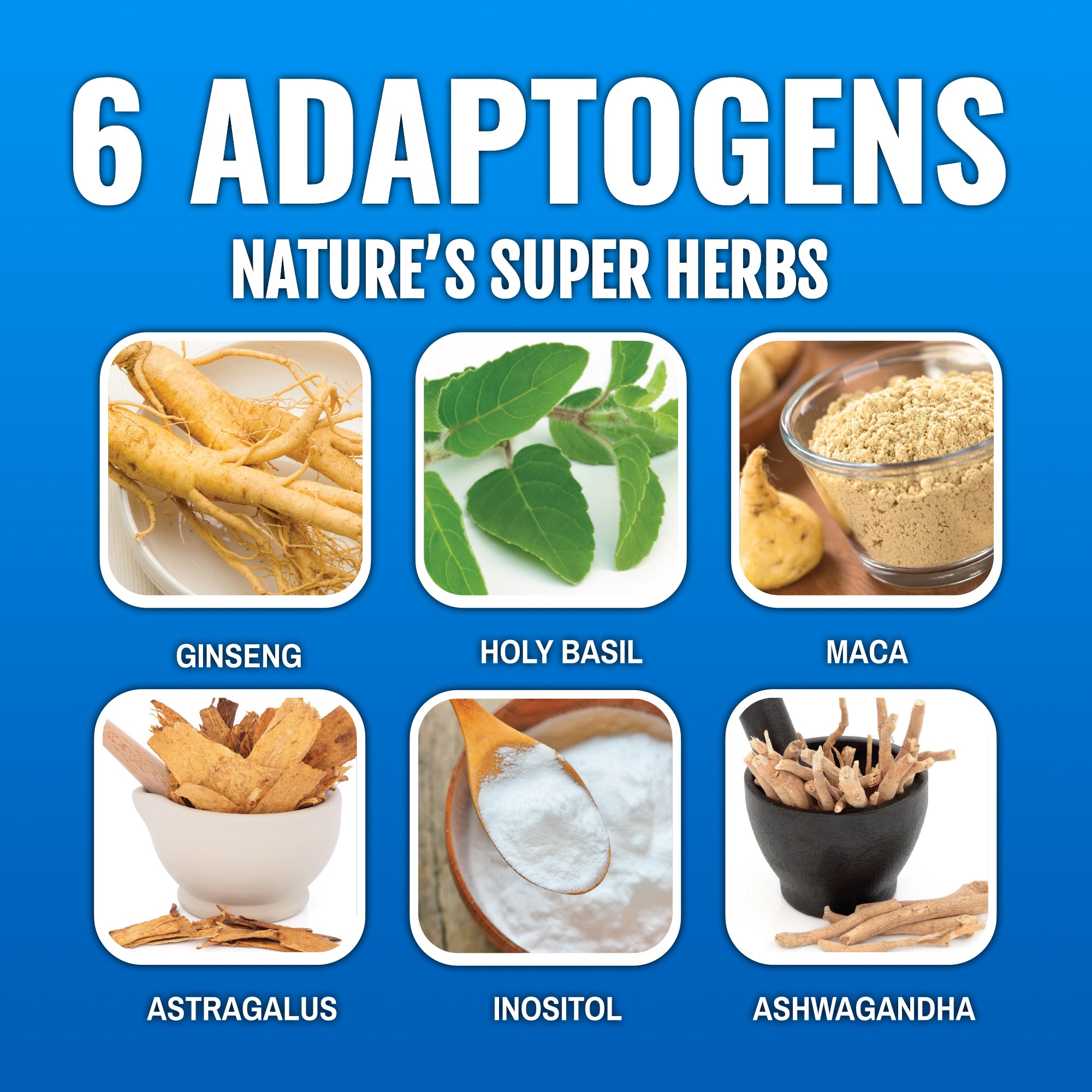 DRNX Adaptogenic Waters - Variety Pack - 12 Pack